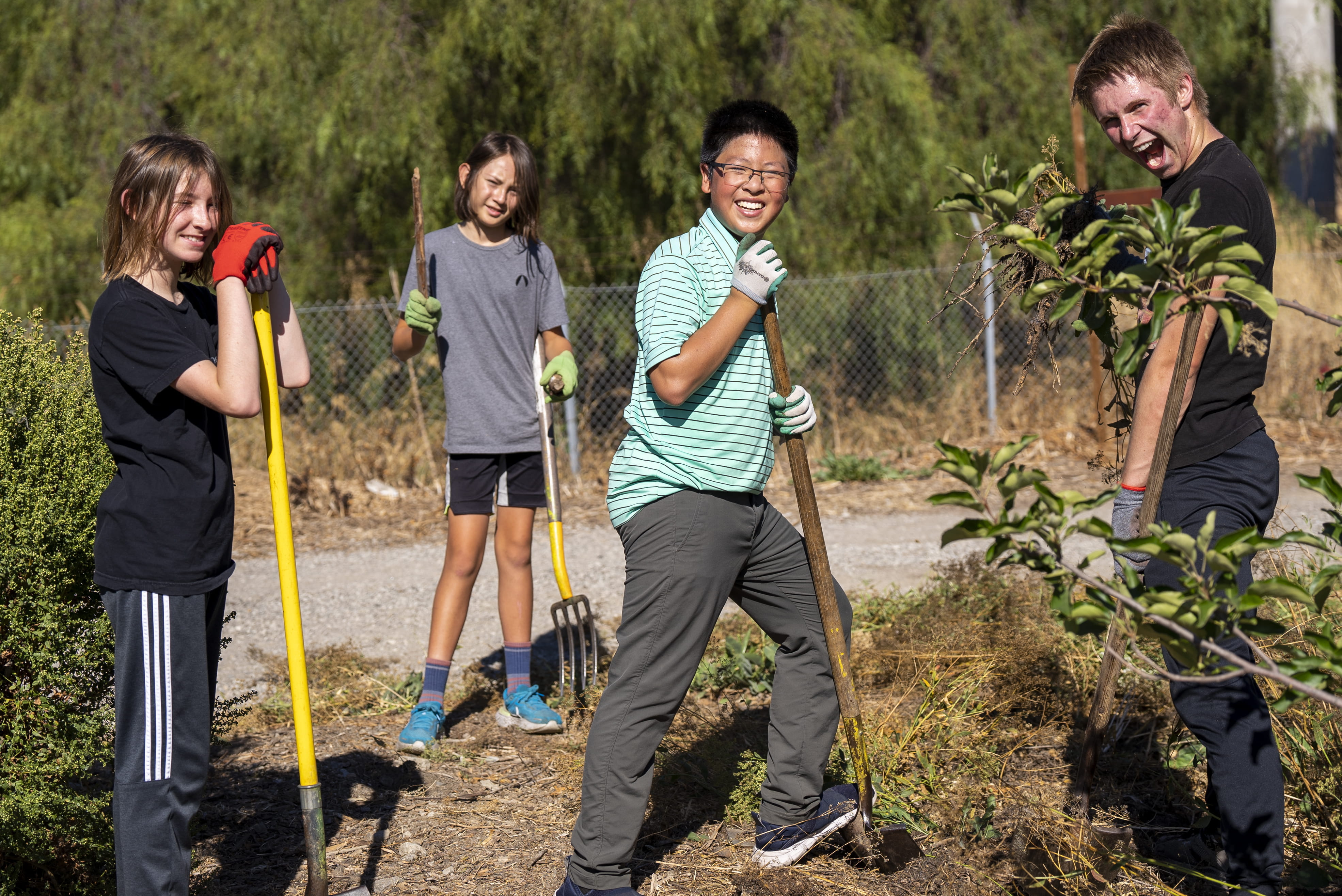 Avenues | Formatura global - service-learning