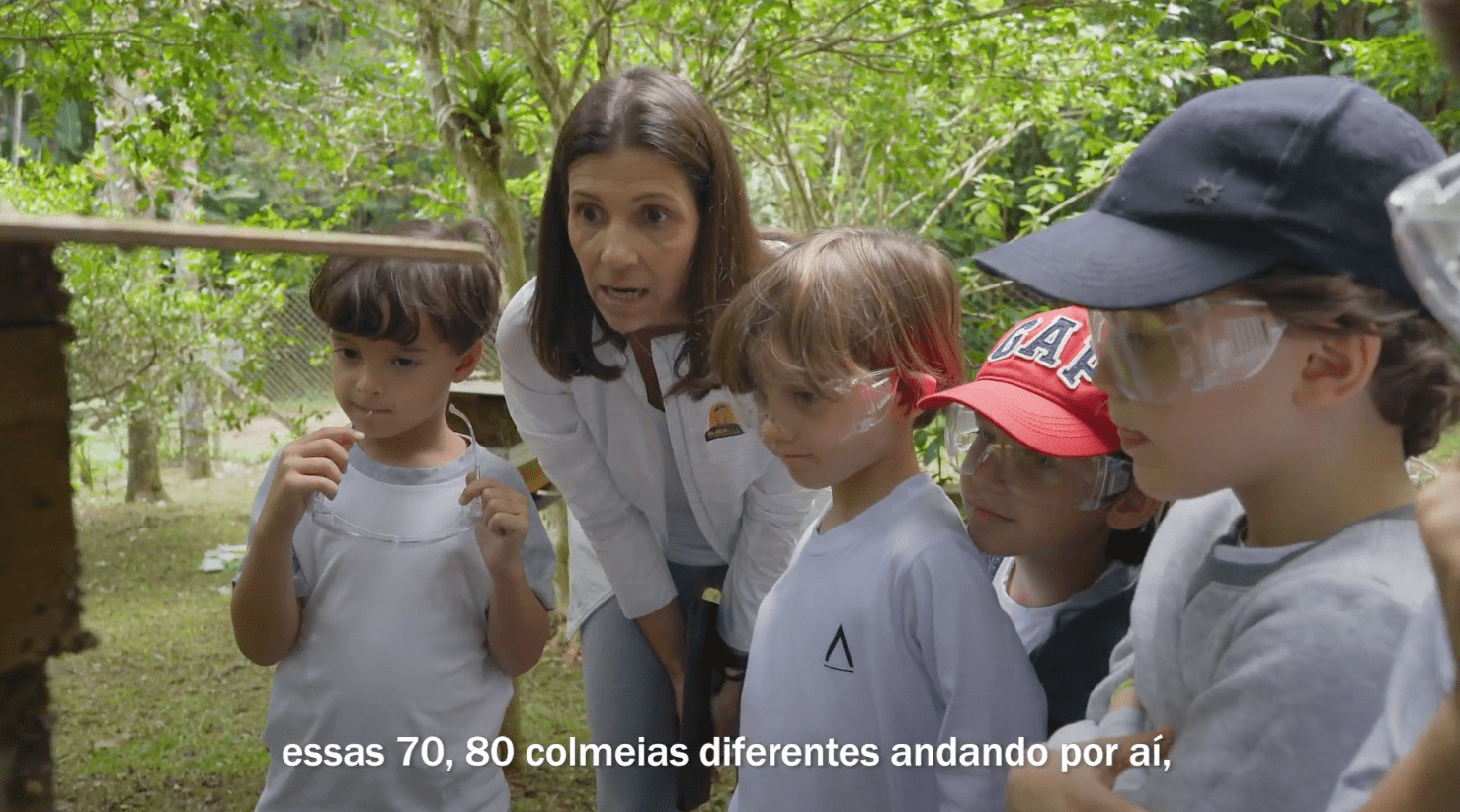 Avenues | O mundo das abelhas - the-world-of-bees