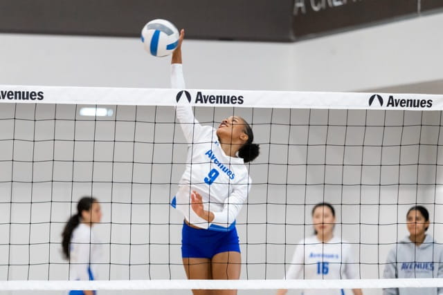 Athletics and PE | Student Life | Avenues New York - Teams by Season