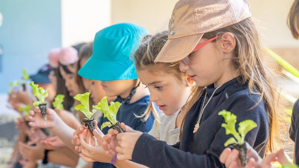 Vivencie a aprendizagem do 1º ao 5º ano